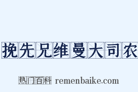 挽先兄维曼大司农是什么意思的图片